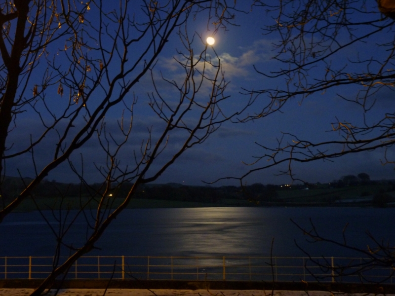 Moonlit Lake