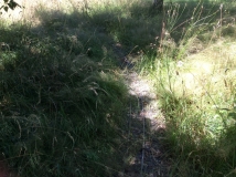 Where is the railway track