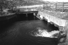 Bealcooling water529501