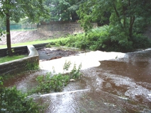 Flood2004clough