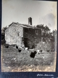 Old house at Moses Lee