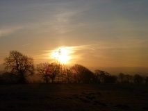 Sunrise near Fence