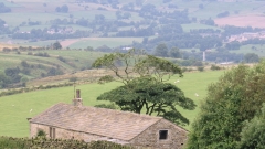 New chimney