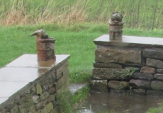 gnomes