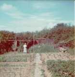 Parrys garden2