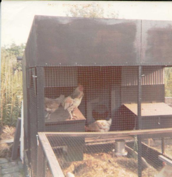hen house