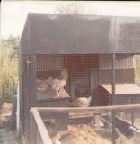 hen house