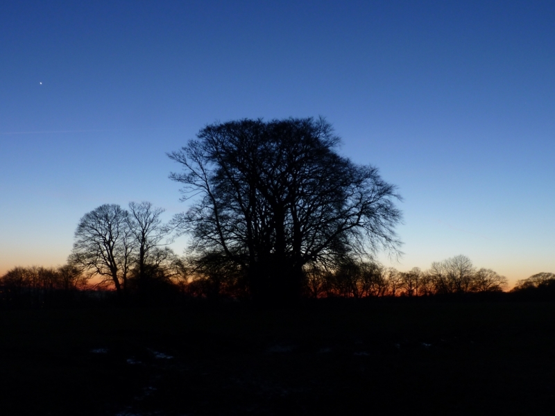 Sunset near Fence