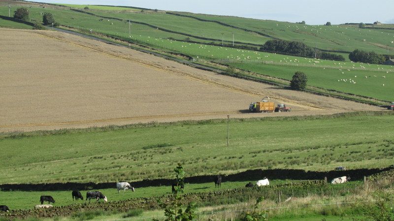 combine at Sandbeds