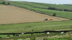 combine at Sandbeds