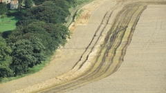 Wet field