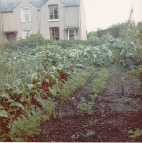 Parrys front garden