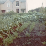 Parrys front garden