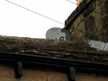 Old satellite dish 190916