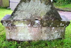 P8110107G