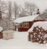 snow 1