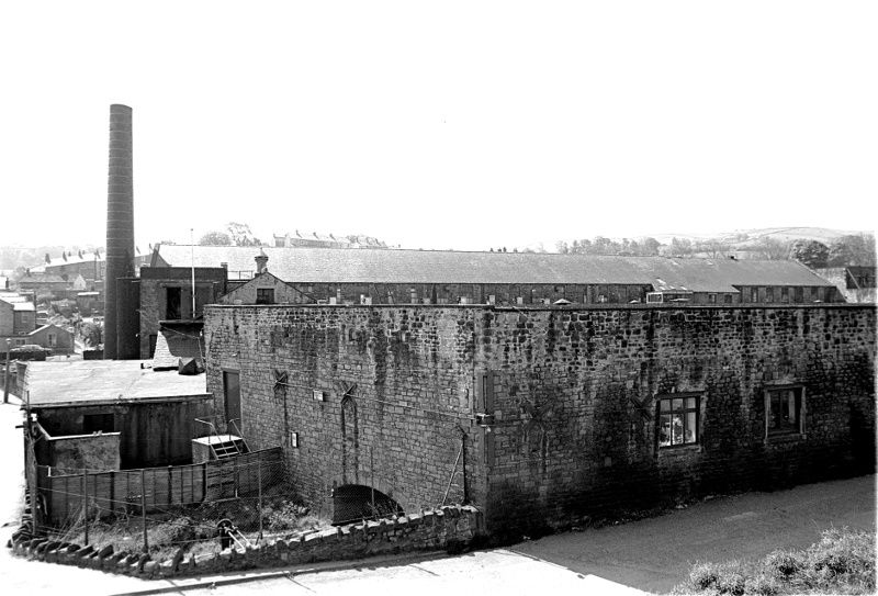Calf Hall127861
