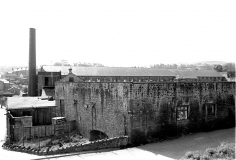 Calf Hall127861