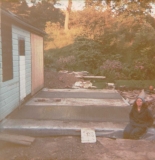 roof & rear 5
