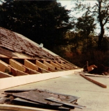 roof & rear 8