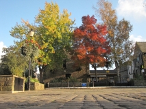 Town Square Autumn 16 10 15 016
