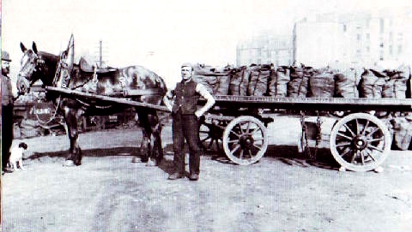 Bagged coal delivery