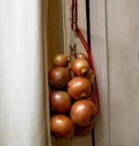 String of onions