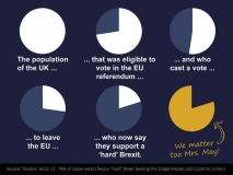 Brexit pie chart