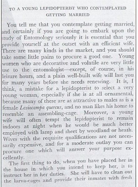 Advice to a young lepidopterist