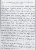 Advice to a young lepidopterist