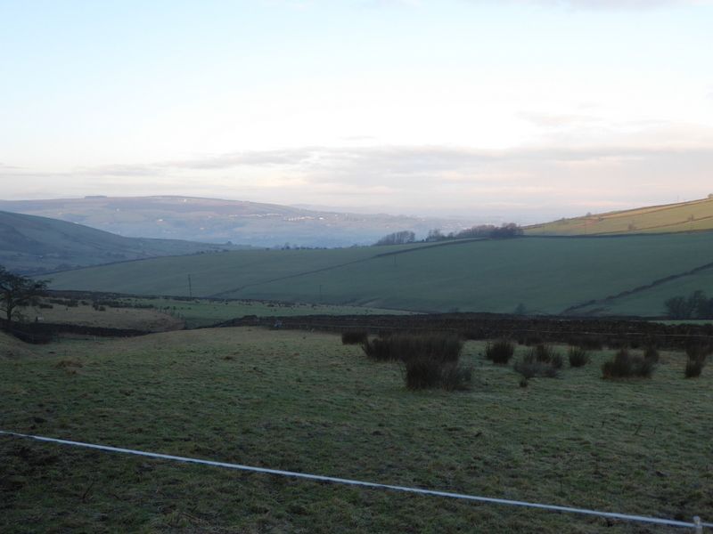 cold morning 1