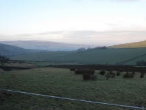 cold morning 1