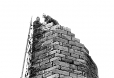 Buttsdemo198007