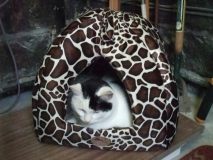Mabels New Bed