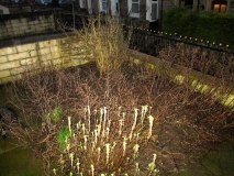 Garden 060317