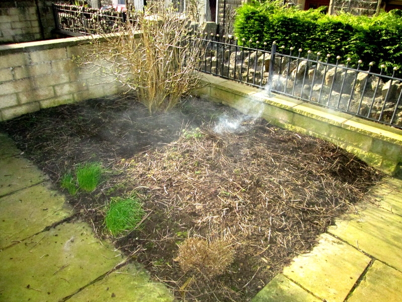 FRONT GARDEN 160317