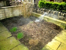 FRONT GARDEN 160317