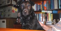 JACK 15102012
