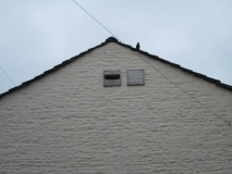 Pigeon Club Jackdaws 170417