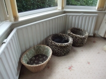 Cat bed heaven