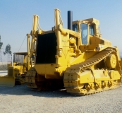 Cats LA