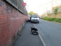 Butts tyres 100517