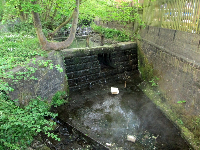 Butts Dam 100517