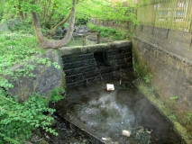 Butts Dam 100517