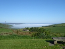 morning mist