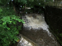 Butts Beck 060617
