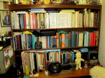 Bookshelf 01