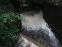 Butts dam 290617