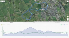 Lower fields Loop
