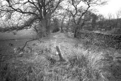 StandingStones
